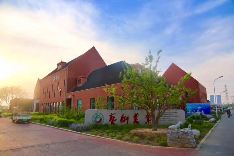 金福藝農番茄聯(lián)合國