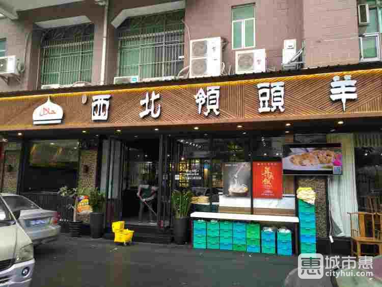 西北領(lǐng)頭羊