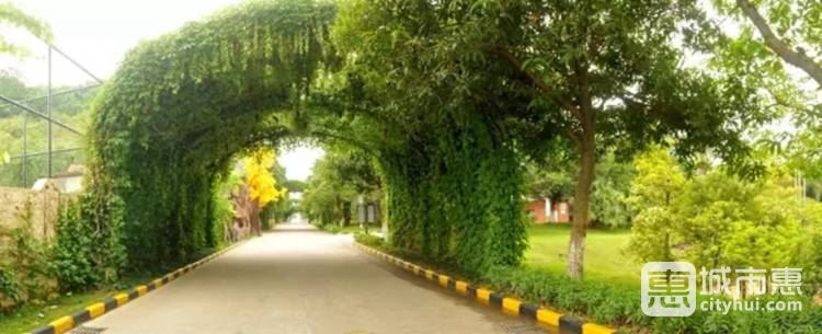 桃源居中澳實驗學校